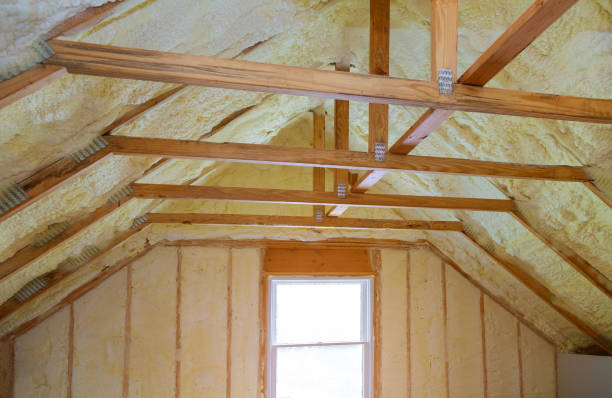 Best Types of Insulation in La Plata, NM