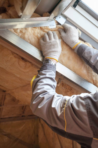 Best Insulation for Specific Applications in La Plata, NM